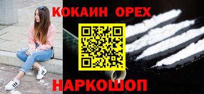 индика Камышлов