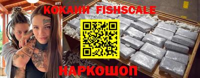индика Камышлов