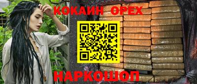 индика Камышлов