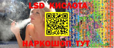 индика Камышлов