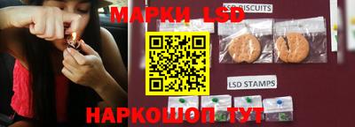 индика Камышлов