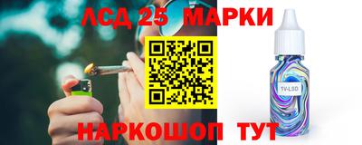 индика Камышлов
