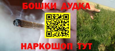 индика Камышлов