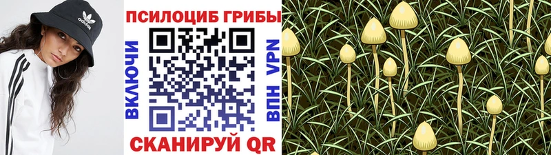 хочу наркоту  Янаул  Галлюциногенные грибы ЛСД 